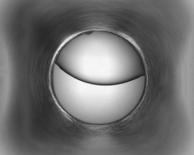 X0000087601056200704271040