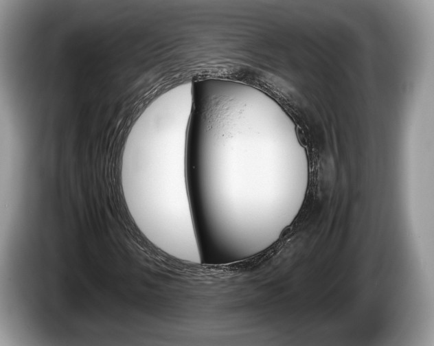 X0000087601058200704271039