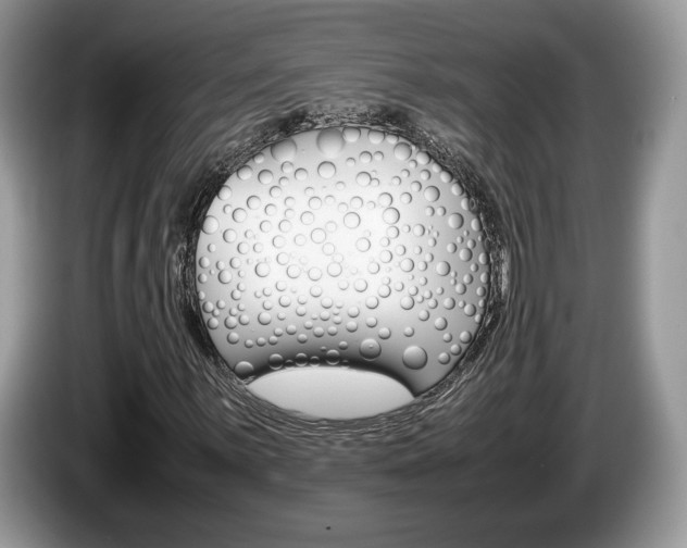 X0000087601059200704271039