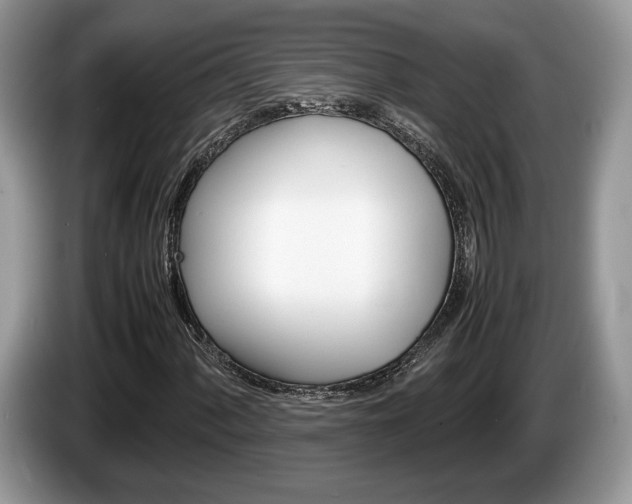 X0000087601060200704271039