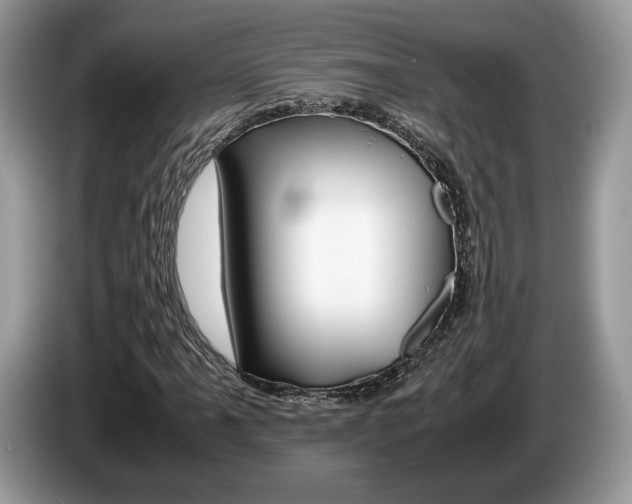 X0000087601061200704271039