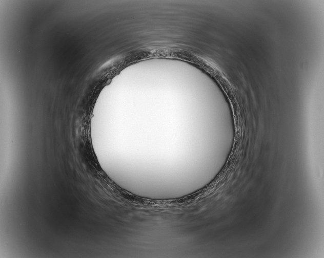 X0000087601063200704271039