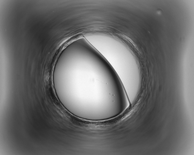 X0000087601065200704271039
