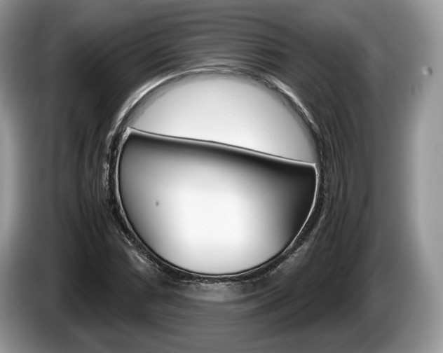 X0000087601066200704271039