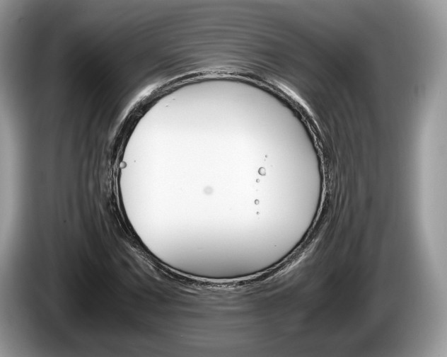 X0000087601067200704271039