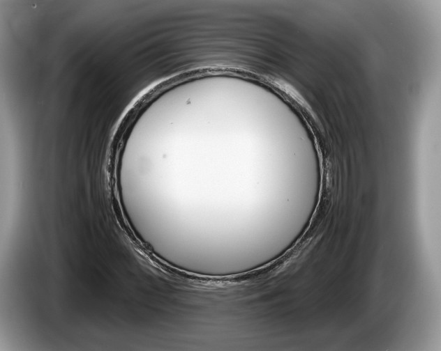 X0000087601068200704271039