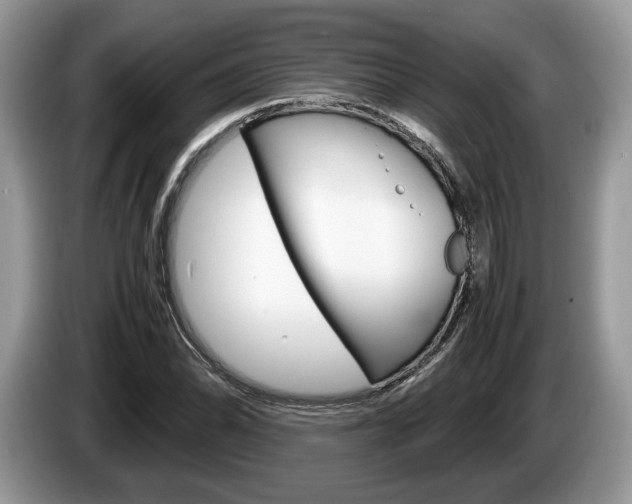 X0000087601070200704271039
