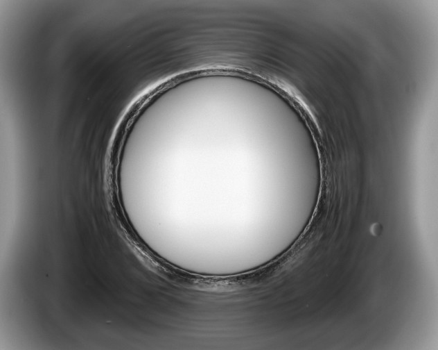 X0000087601072200704271039