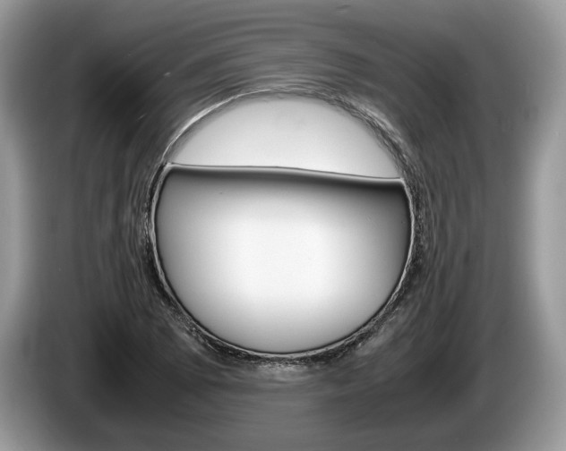 X0000087601073200704271039