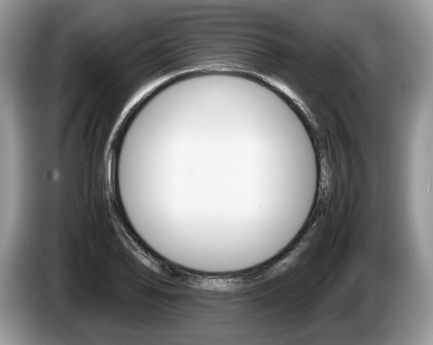 X0000087601078200704271039
