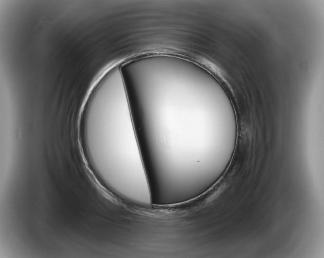X0000087601082200704271039
