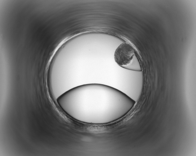 X0000087601083200704271039