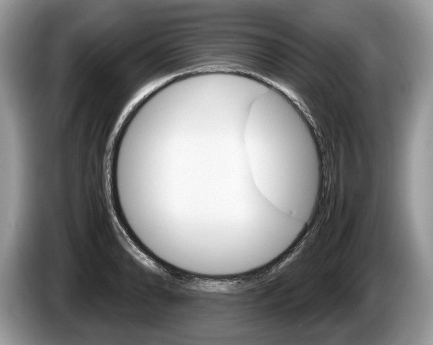 X0000087601086200704271039