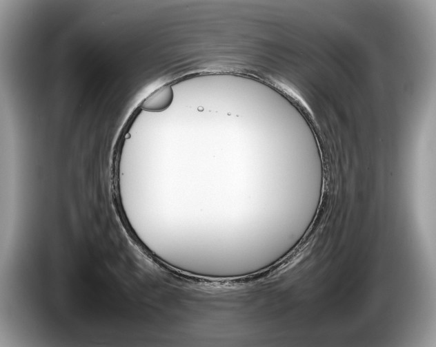 X0000087601087200704271039