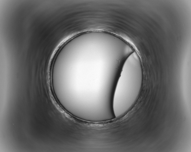 X0000087601088200704271039