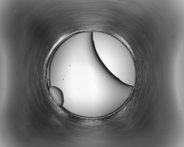 X0000087601091200704271039
