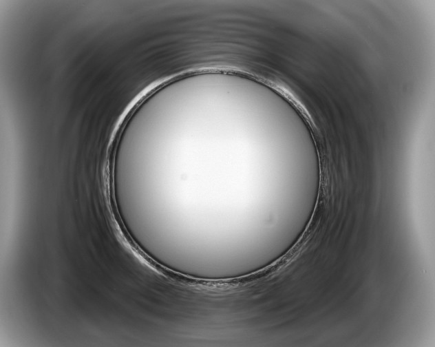 X0000087601092200704271039
