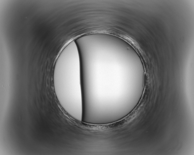 X0000087601097200704271039