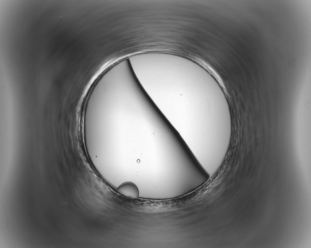 X0000087601099200704271039