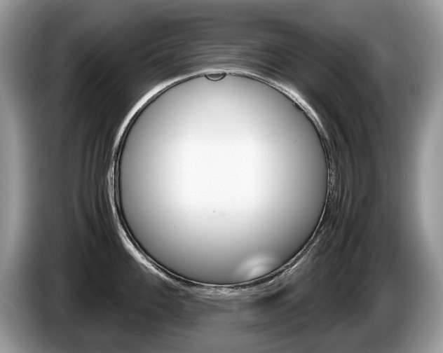 X0000087601100200704271039