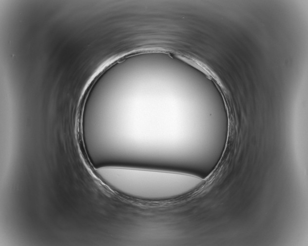 X0000087601101200704271039