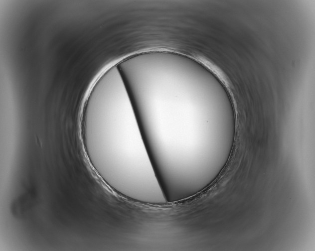 X0000087601104200704271038