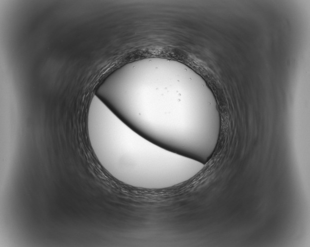 X0000087601105200704271038