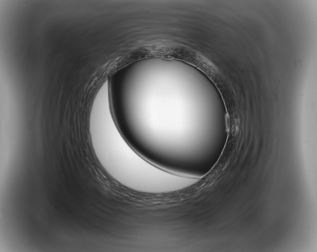 X0000087601108200704271038