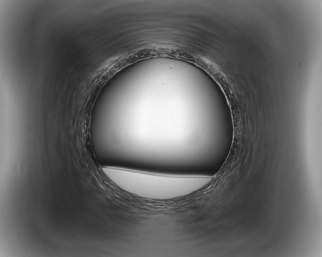 X0000087601110200704271038