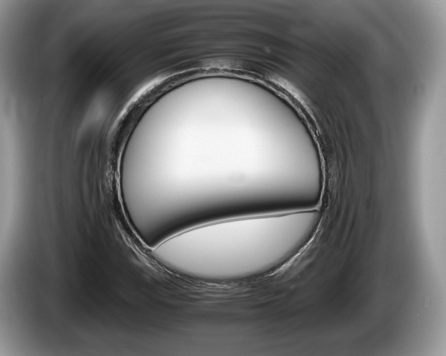 X0000087601115200704271038