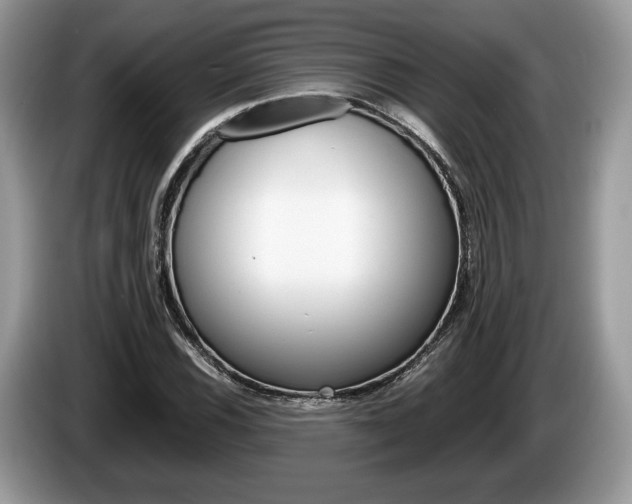 X0000087601116200704271038