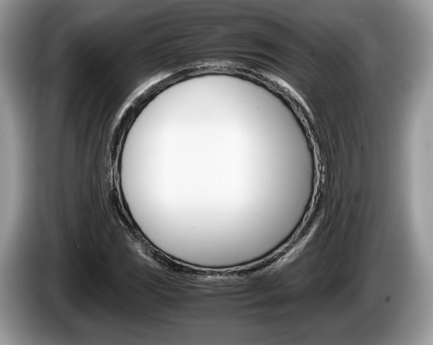 X0000087601117200704271038