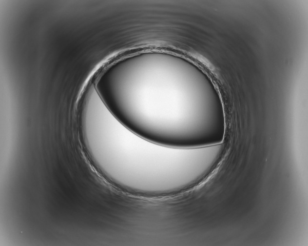 X0000087601118200704271038