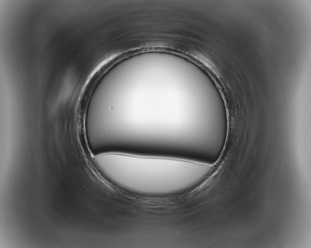 X0000087601119200704271038