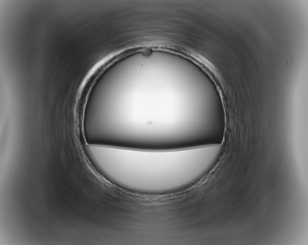 X0000087601120200704271038