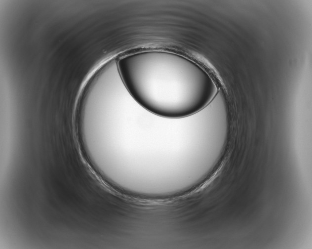 X0000087601122200704271038