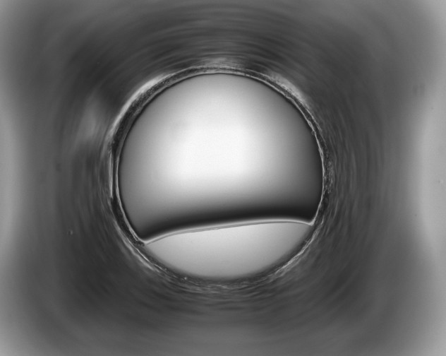 X0000087601123200704271038