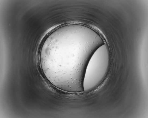 X0000087601125200704271038