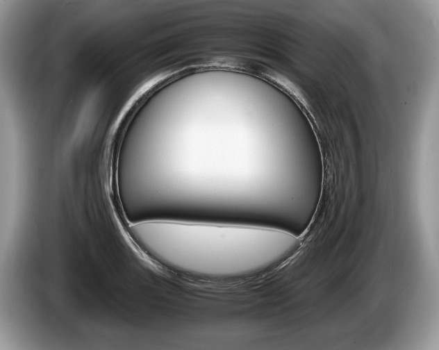 X0000087601131200704271038