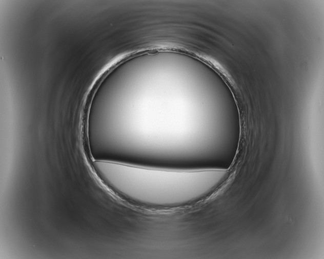 X0000087601134200704271038