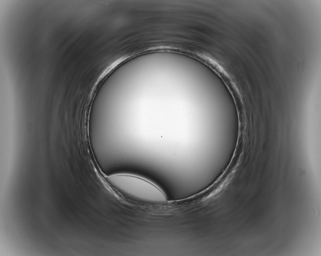 X0000087601137200704271038