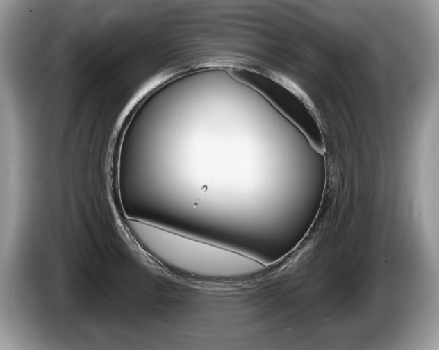 X0000087601138200704271038