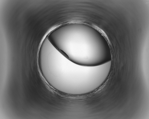 X0000087601146200704271038