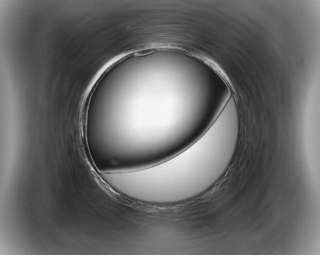X0000087601148200704271038