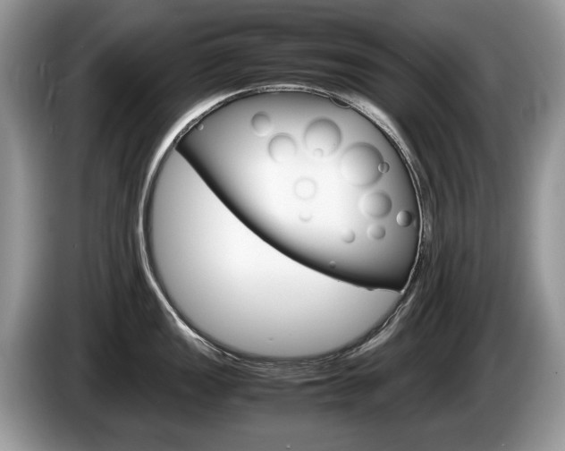 X0000087601149200704271038