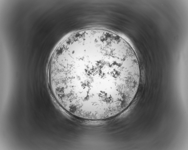 X0000087601150200704271038