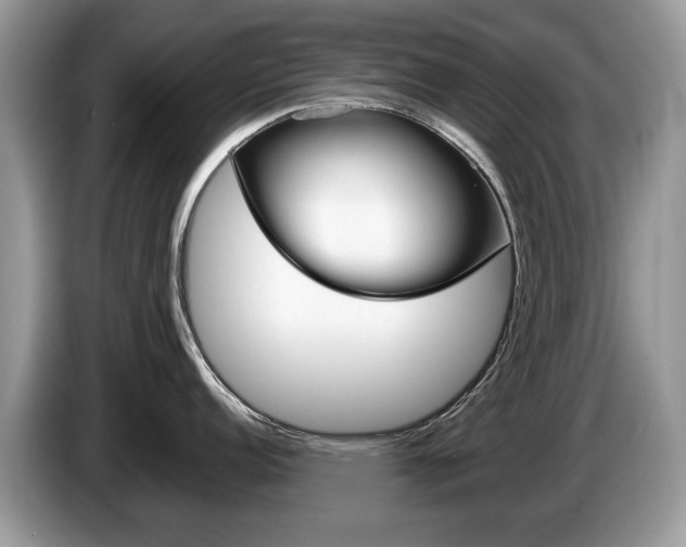 X0000087601152200704271038