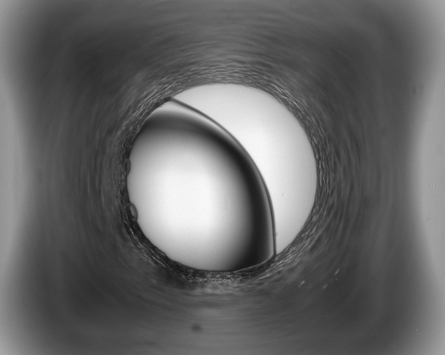 X0000087601153200704271038