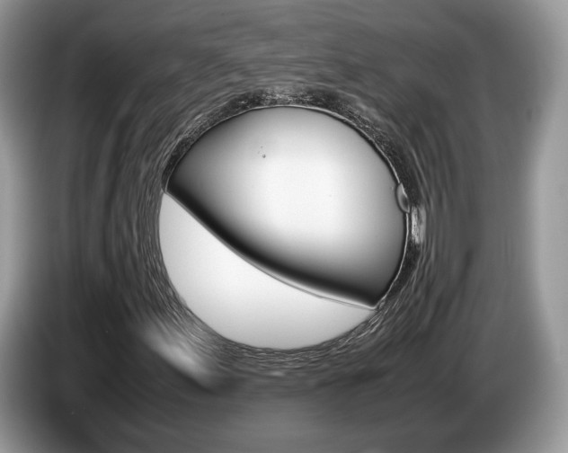 X0000087601155200704271038