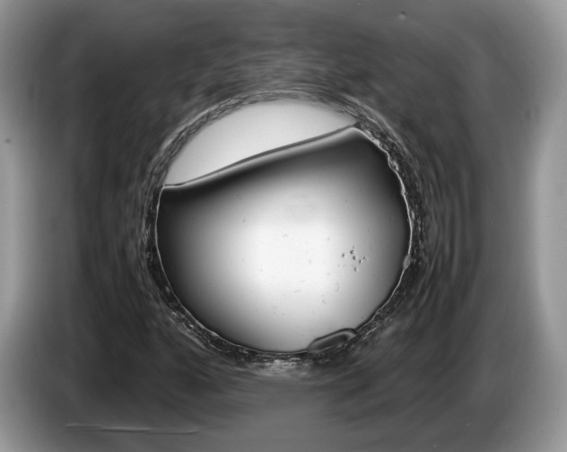 X0000087601160200704271038